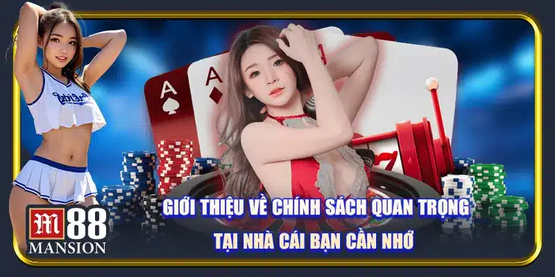 Giới thiệu về chính sách quan trọng tại nhà cái bạn cần nhớ