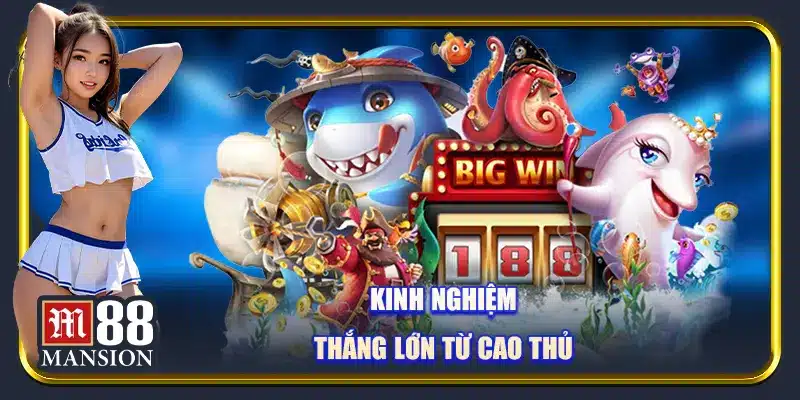 Kinh nghiệm  thắng lớn từ cao thủ