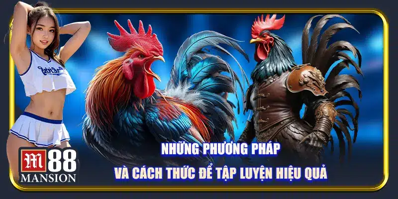 Những phương pháp và cách thức để tập luyện hiệu quả